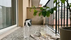 Spray all’aglio per il limone: quando usarlo e come prepararlo in 5 passi