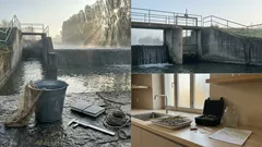 Lo storione di lago torna nel Lago Erie: perché il ripopolamento richiederà decenni